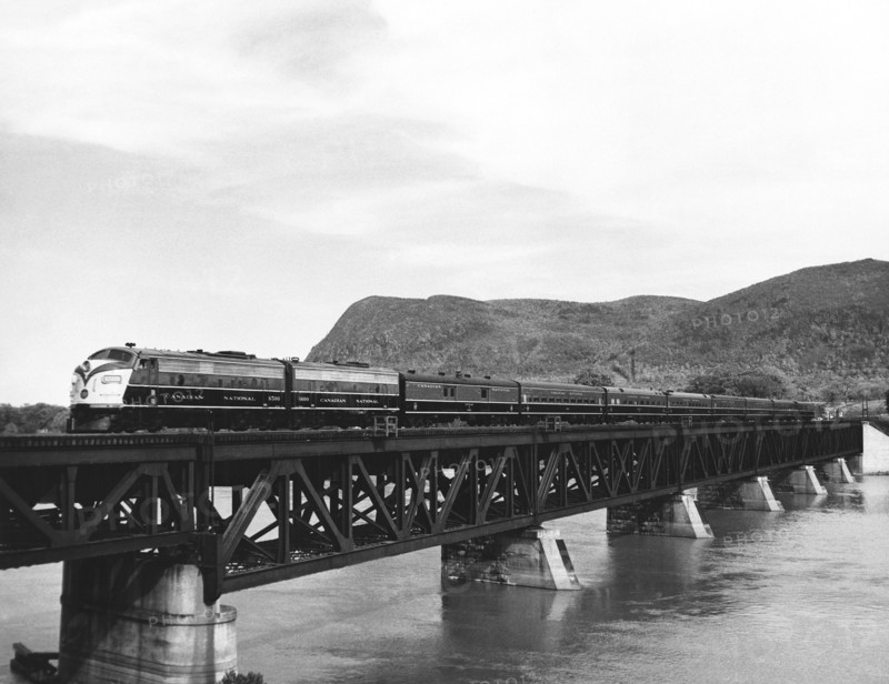 Train Crossing A Trestle