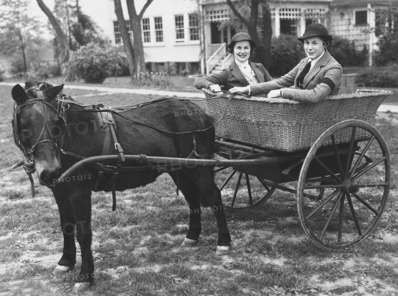 Two Women In A Pony Cart