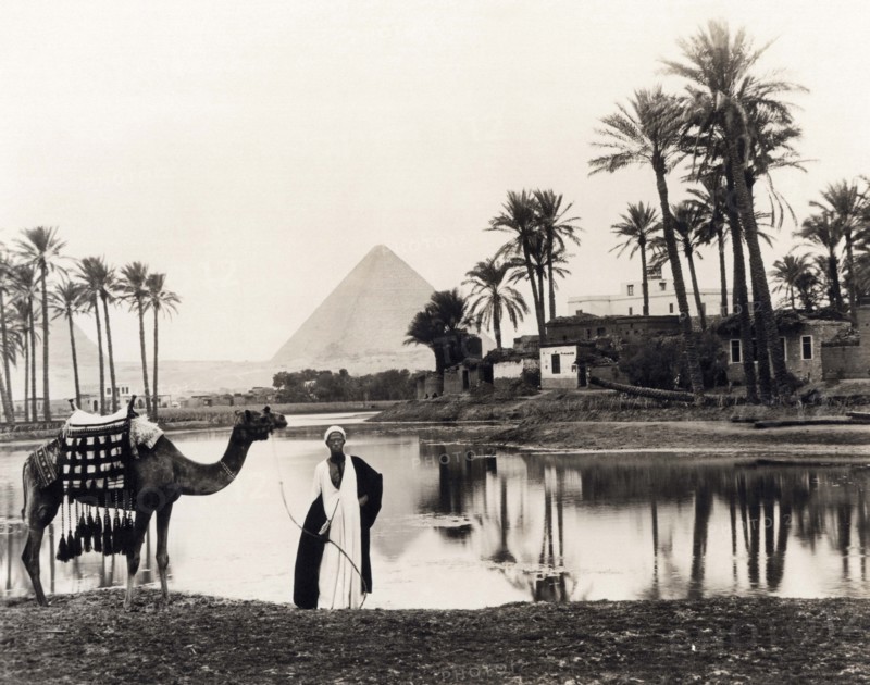 Pyramids Of Giza Oasis