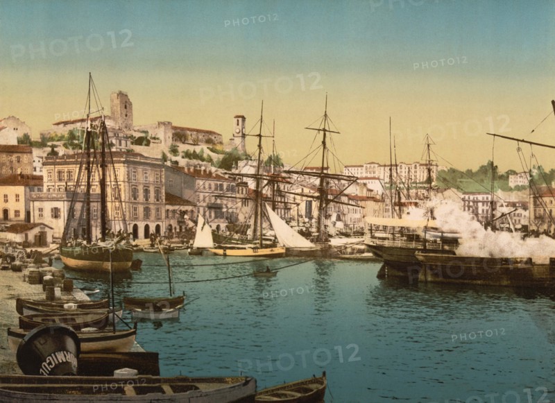 Cannes Harbor