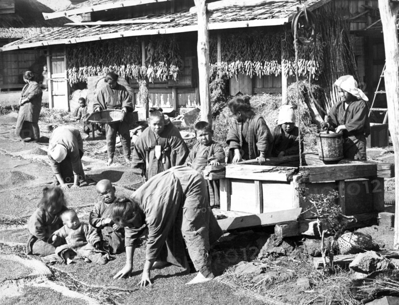 Japanese Harvest Scene
