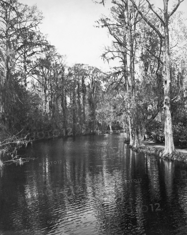 Louisiana Bayous