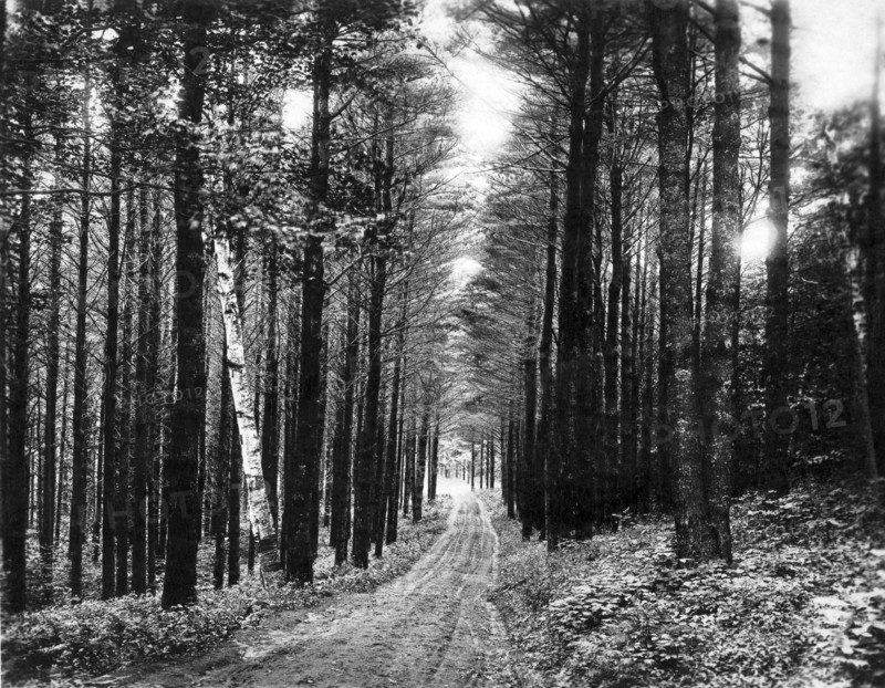 Lenox Country Road