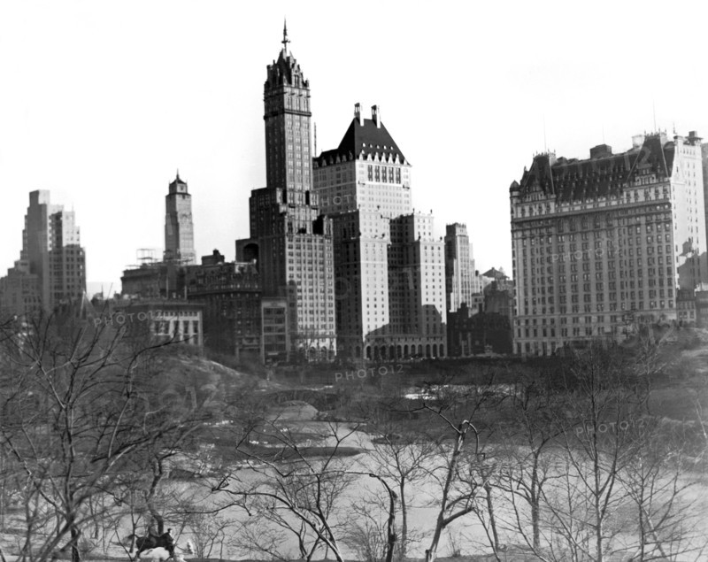 The Duck Pond in Central Park