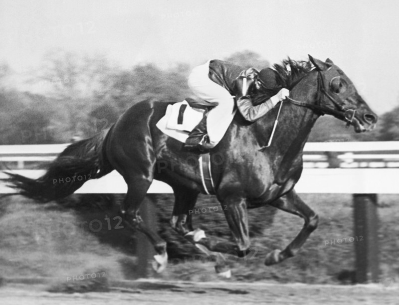 Horse Racing At Pimlico Track