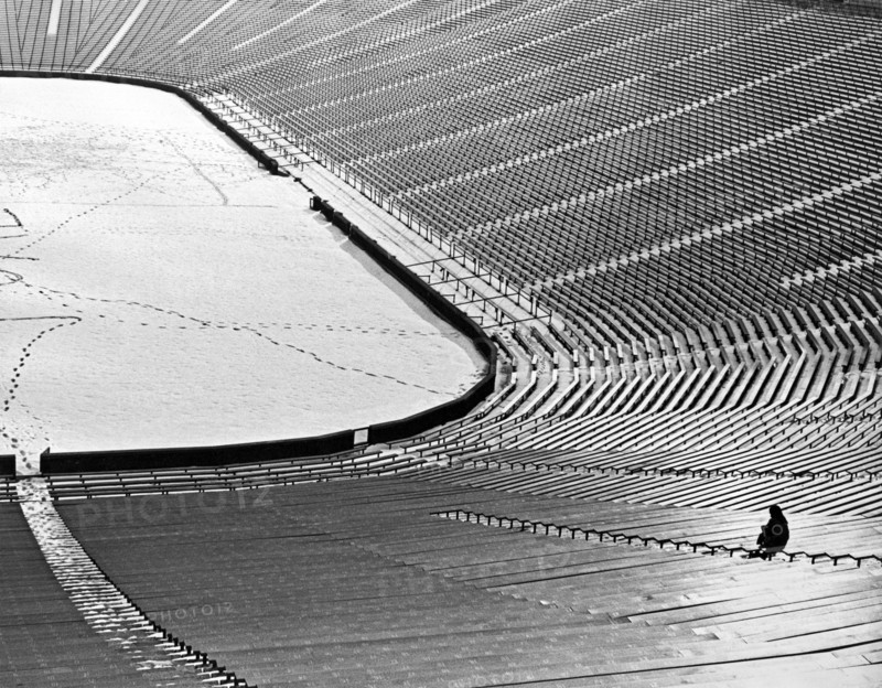 A Lonely Diehard Fan