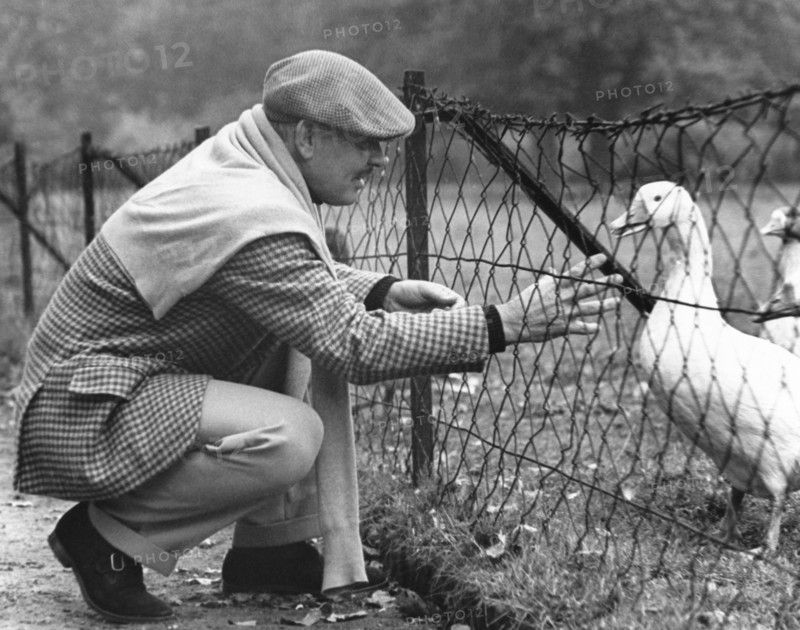 Clark Gable And A Goose