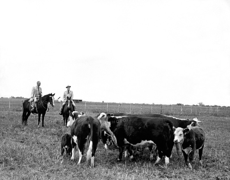 LBJ & Humphrey On Horseback