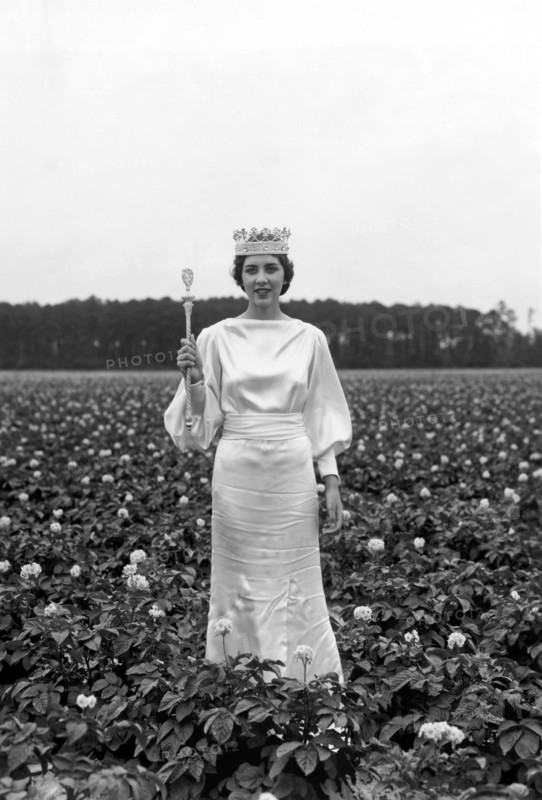 The Potato Blossom Queen