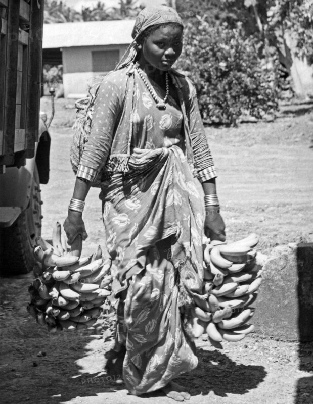 Banana Harvest