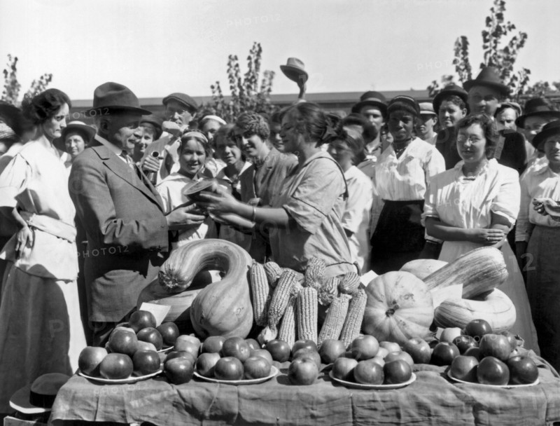 California Harvest Festival