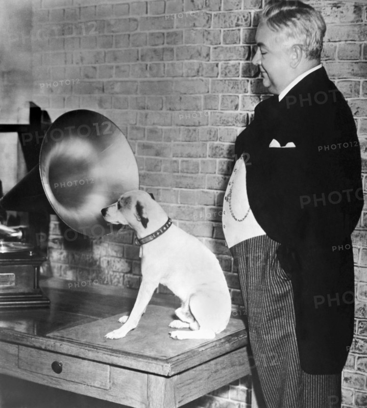 A Dog Listens To Gramaphone