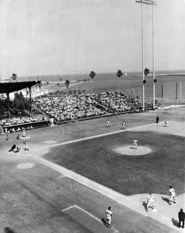 Baseball Spring Training