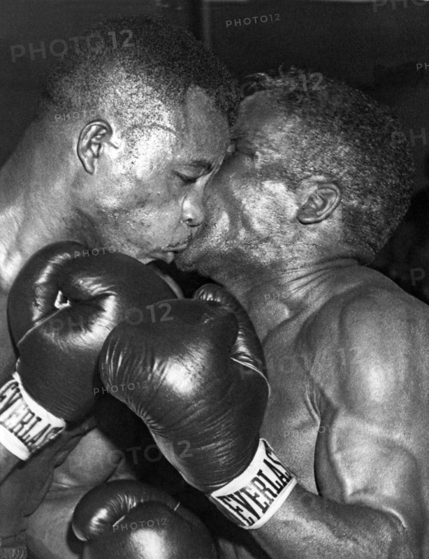 Two Boxers In A Clinch