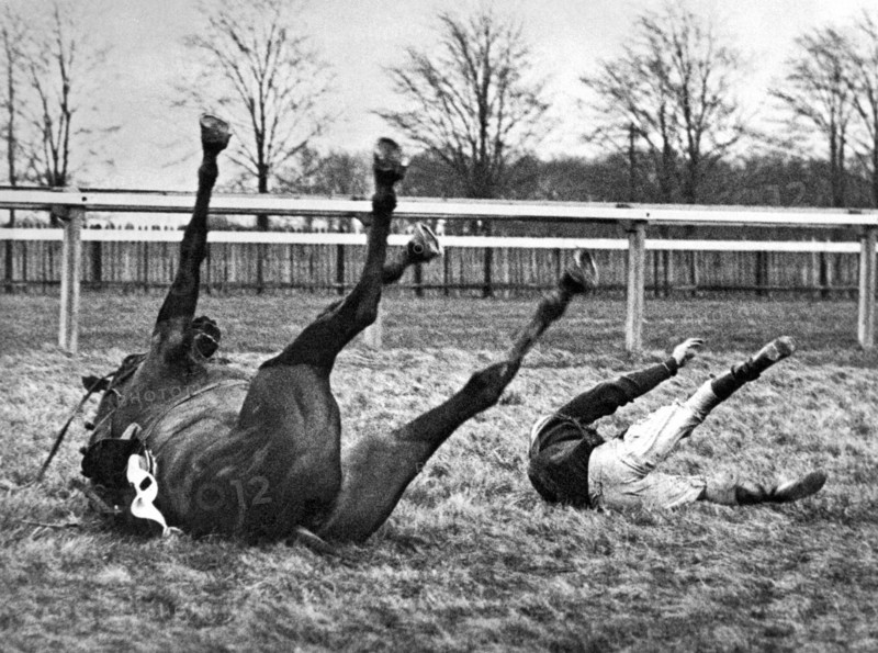 Horse And Rider Fall Alike