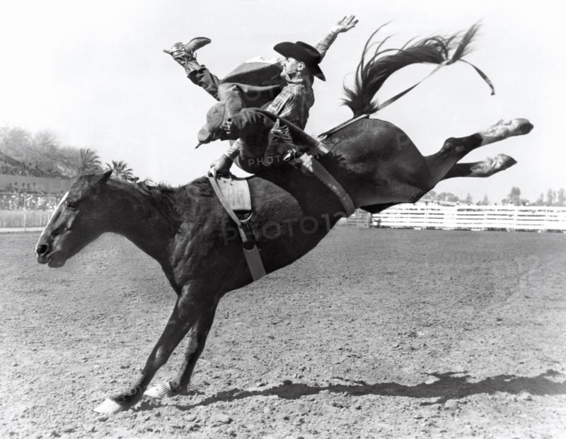 Riding A Bucking Bronco