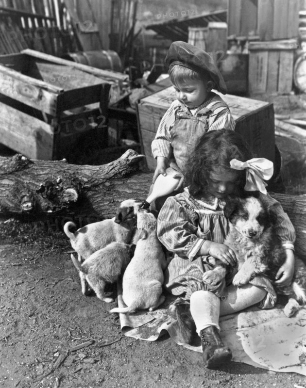 Children On Farm With Puppies