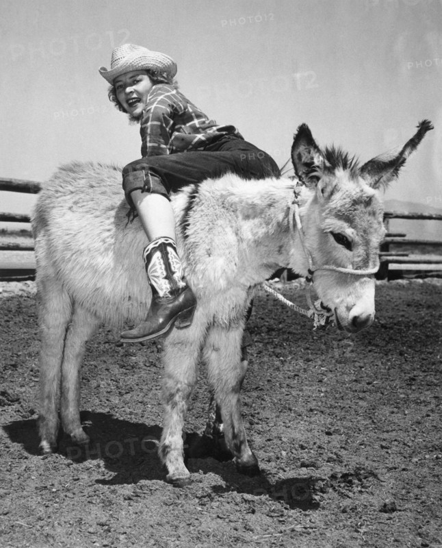 Cowgirl Backwards On A Donkey