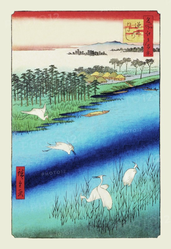 Cranes on the River