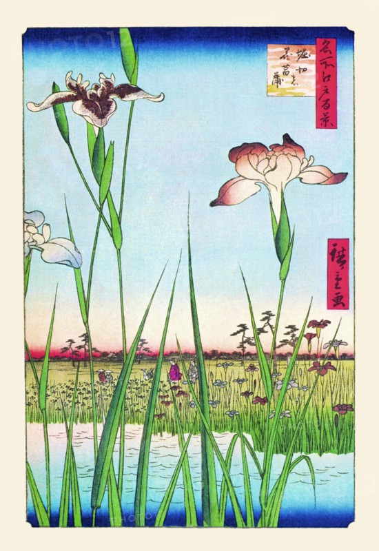 Iris Garden at Horikiri 1857