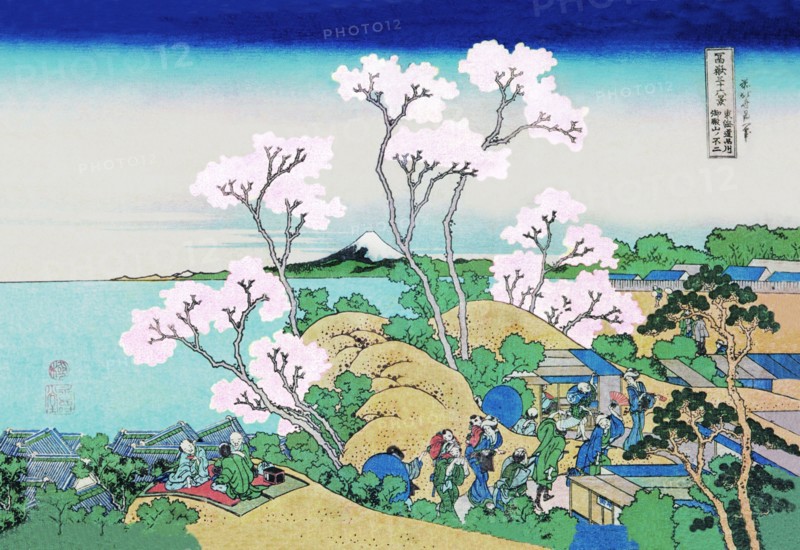 Cherry Blossom Festival