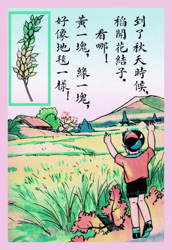 Rice Carpets the Land 1923