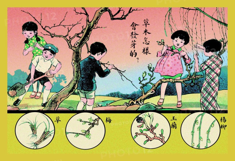 This Is How Plants Grow 1923