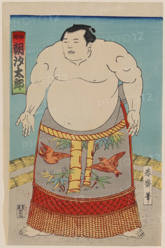 Sumo Wrestler 1850