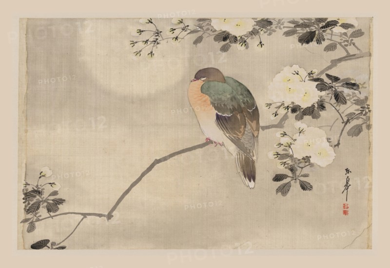 Bird and Cherry Blossoms 1850