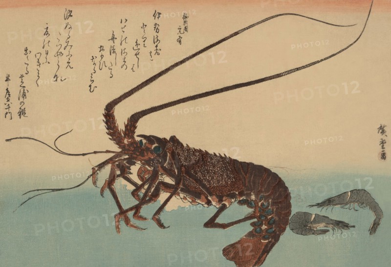 Shrimp and lobster (Ise ebi to shiba ebi) 1840