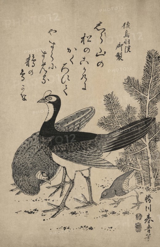 Wildfowl and pine 1810