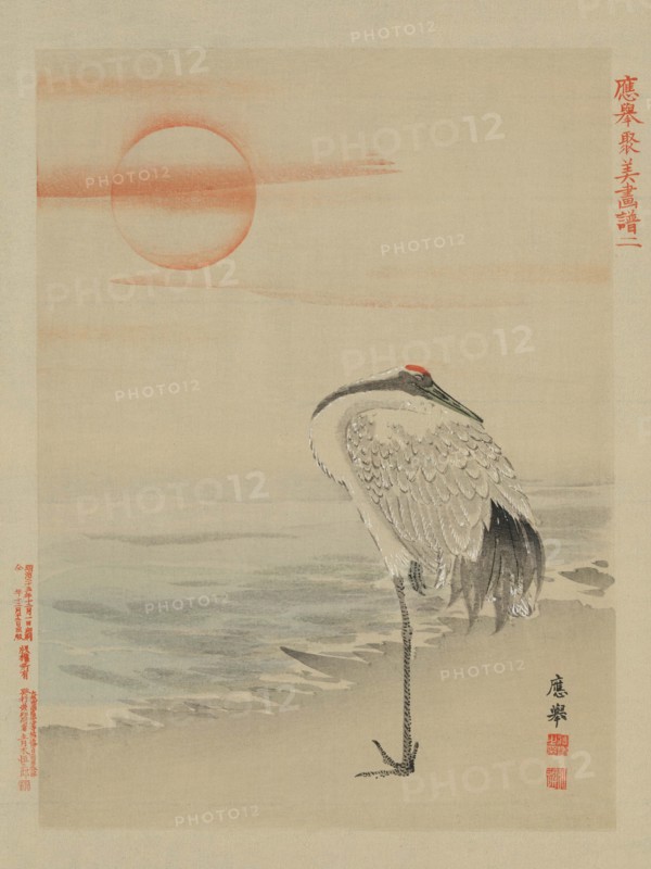 Heron