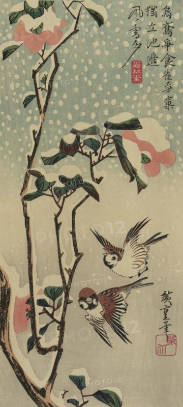 Sparrows and camellias in snow. 1840