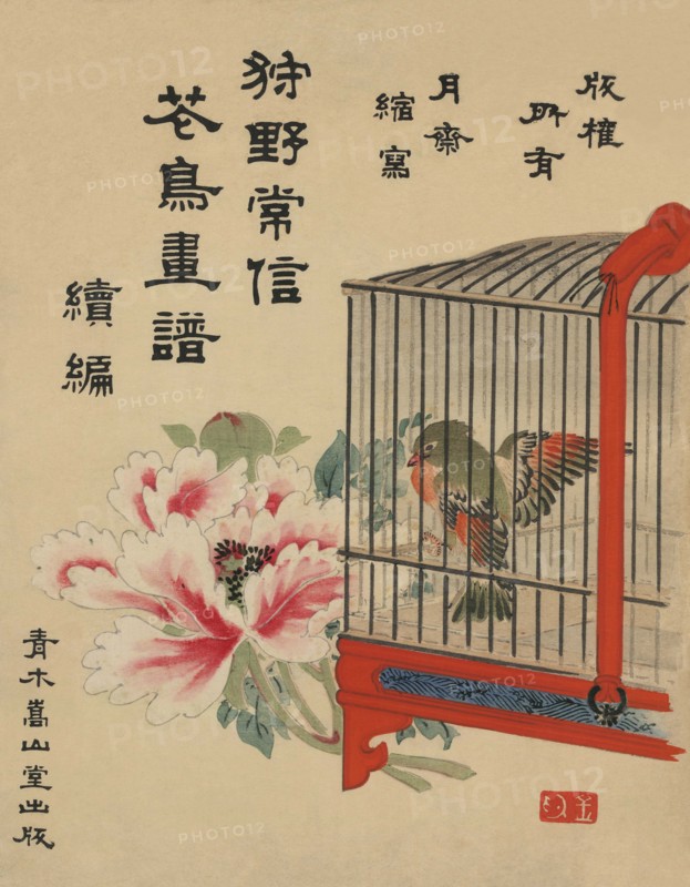Caged Bird and Flower