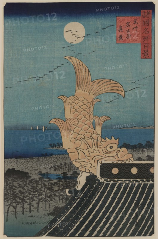 View of Bishu Nagoya 1859