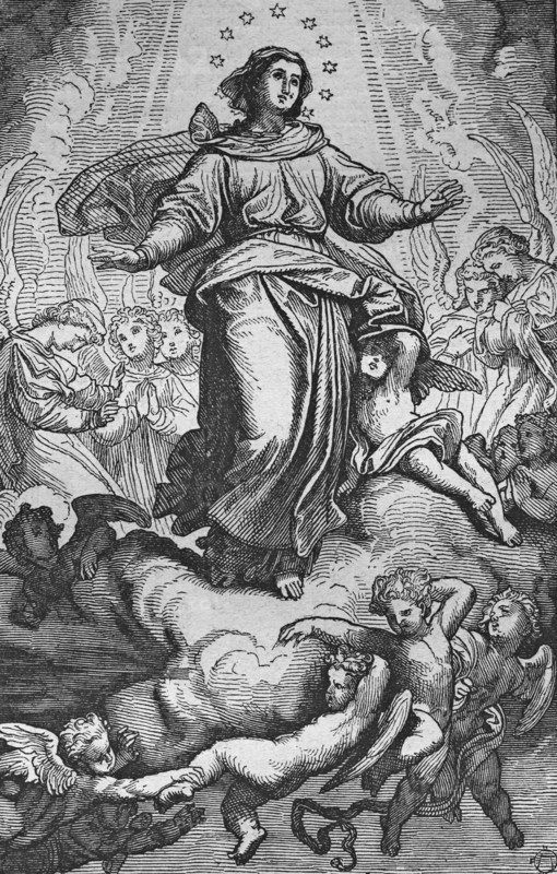 Assumption