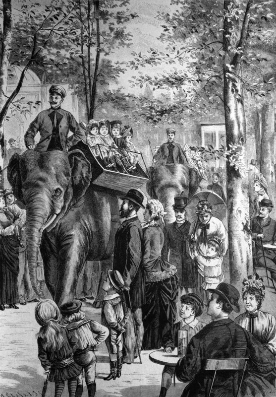 Elephant ride in the berlin zoo