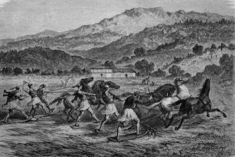 Thrashing of crop in greece