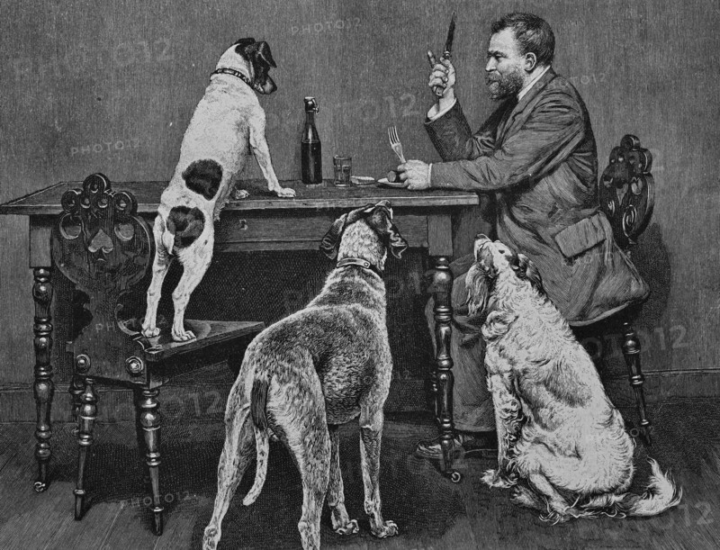 Dogs begging at the table