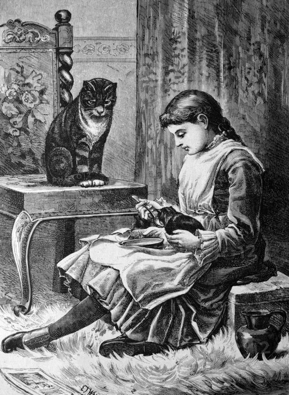 Girl spoon-feeding a kitten