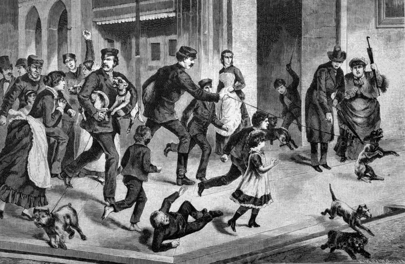 Dog catchers in berlin