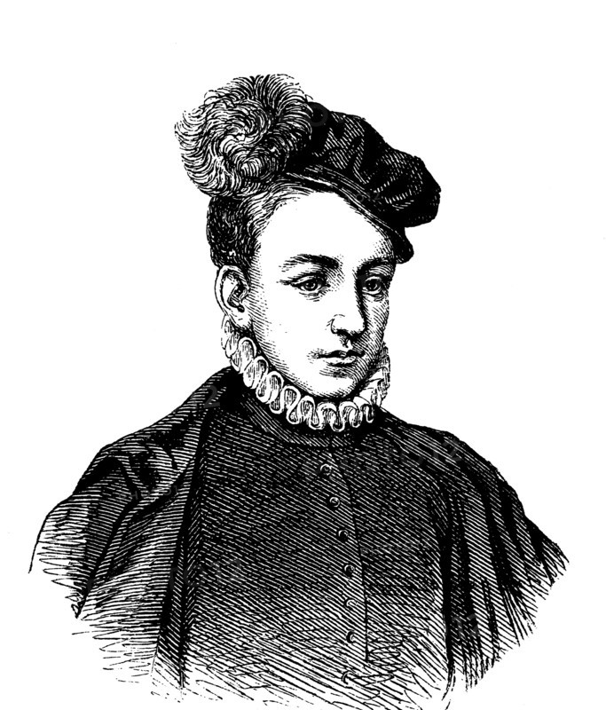 Charles ix of valois,