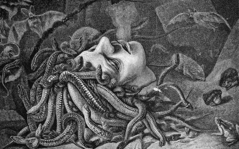 Medusa