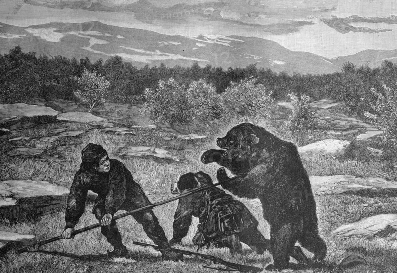Sami on the bear hunt