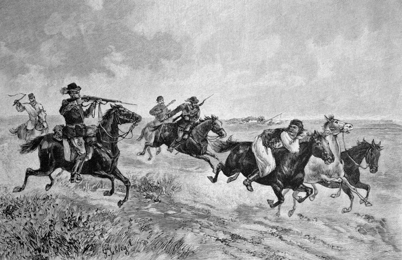 Pursuit of a horse thief