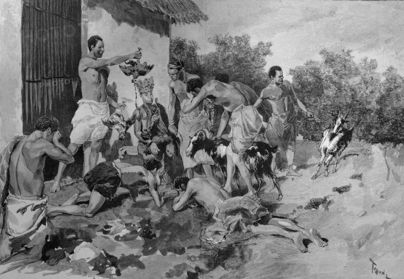 Sacrifice of animals