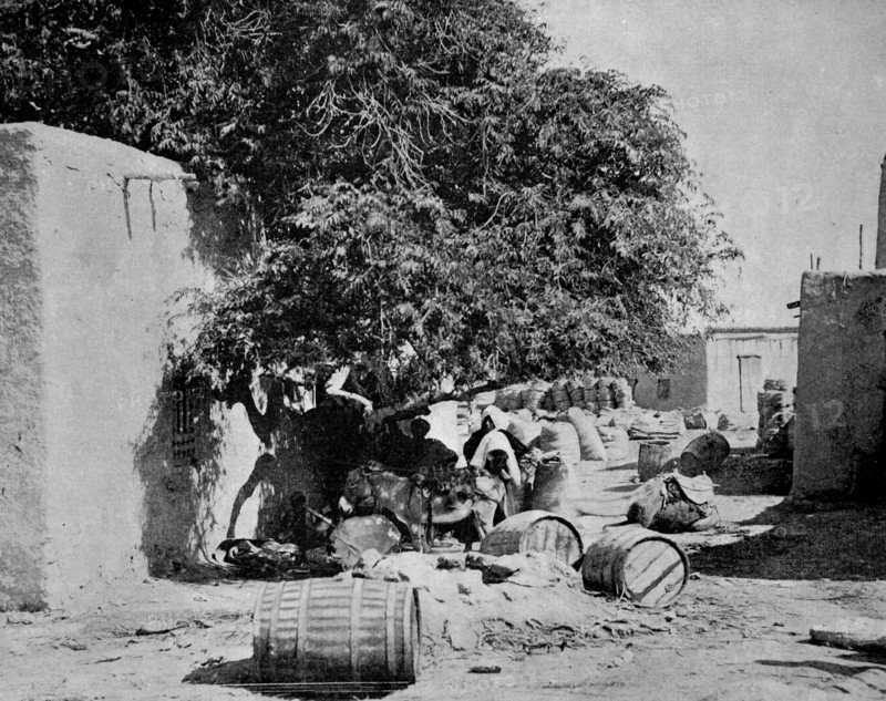 F a market scene in tcharbar