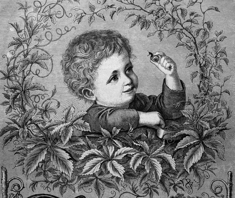 Young boy looking at a snail