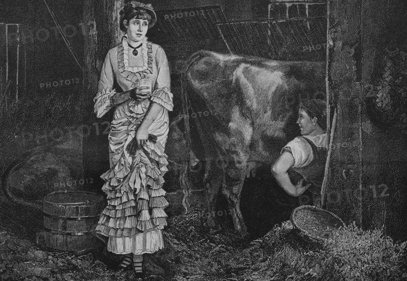 The first day of the milk diet