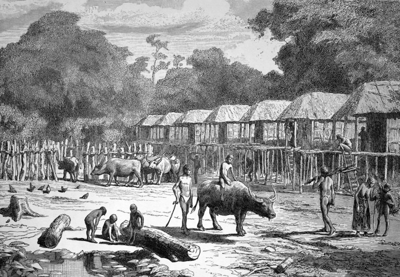 Country scene in laos